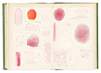 (NATURAL HISTORY -- MARINE SPONGE PHYSIOLOGY.) Yves Delage. Embryogenie des Eponges.